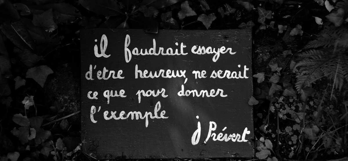 votre photo votre photo
